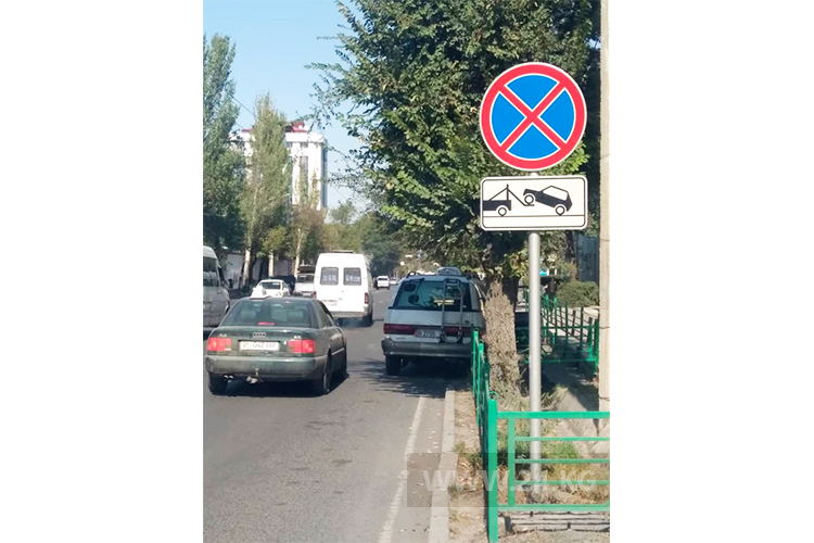 читателя. Чудаки парковки