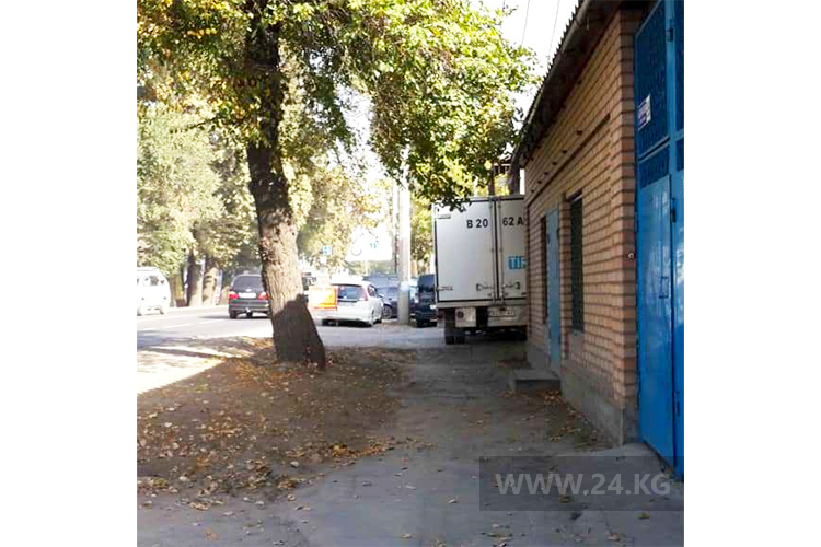 читателя. Чудаки парковки