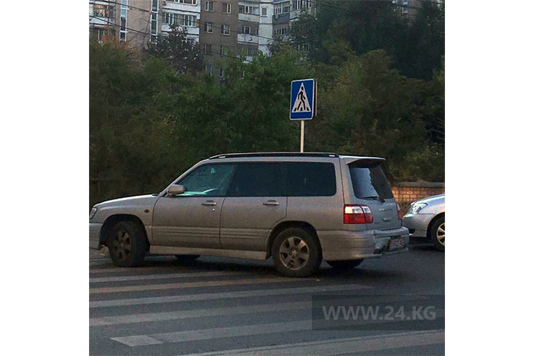 читателя. Чудаки парковки