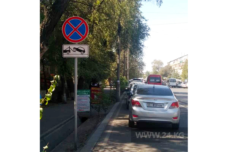 читателя. Чудаки парковки
