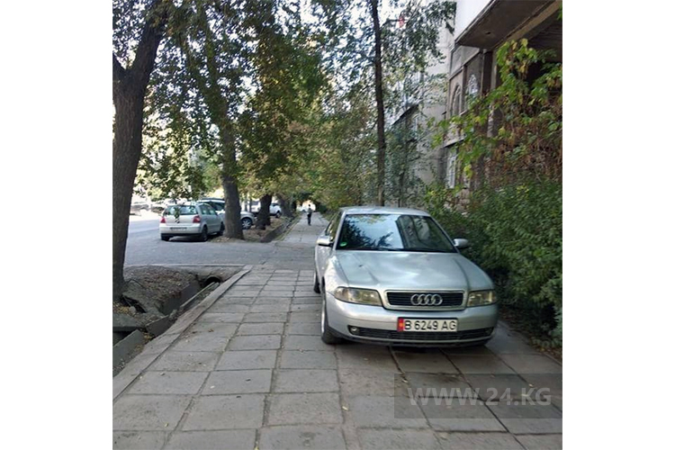 Чудаки парковки