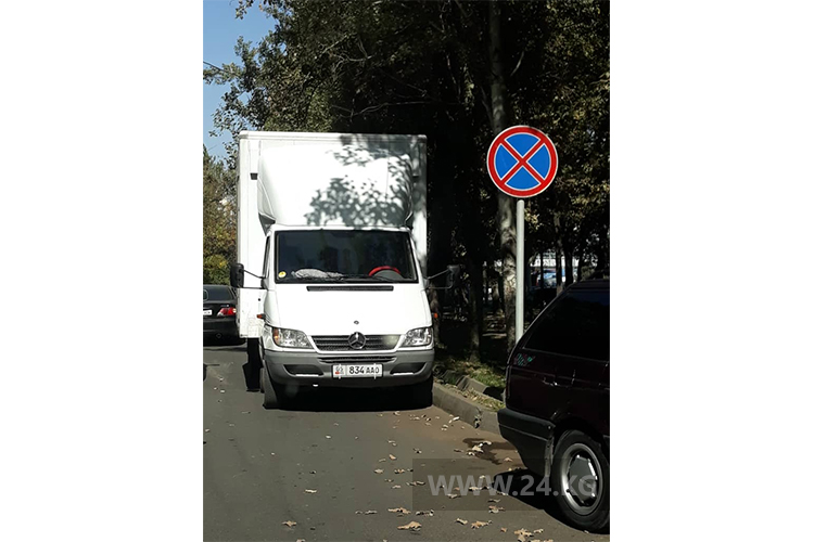 читателя. Чудаки парковки