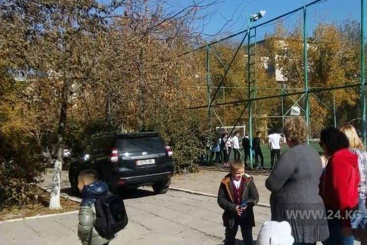 читателя. Чудаки парковки