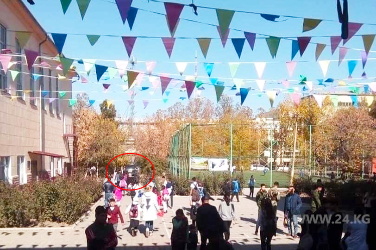 читателя. Чудаки парковки