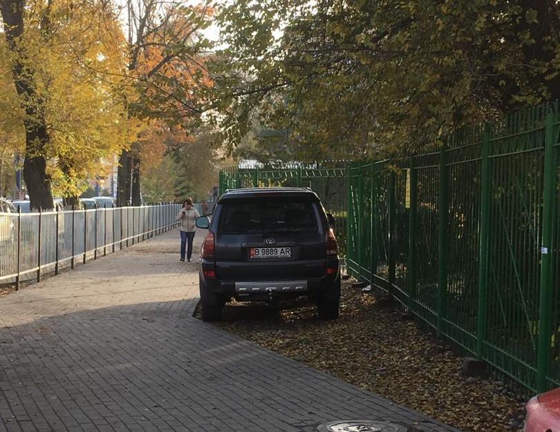 читателя. Чудаки парковки