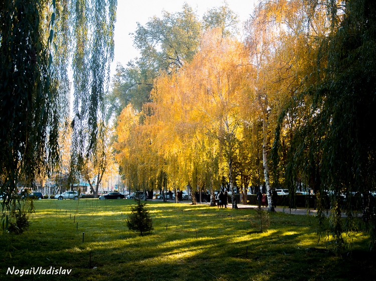 Владислава Ногая. Осень в Бишкеке