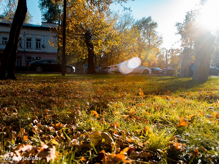 Владислава Ногая. Осень в Бишкеке