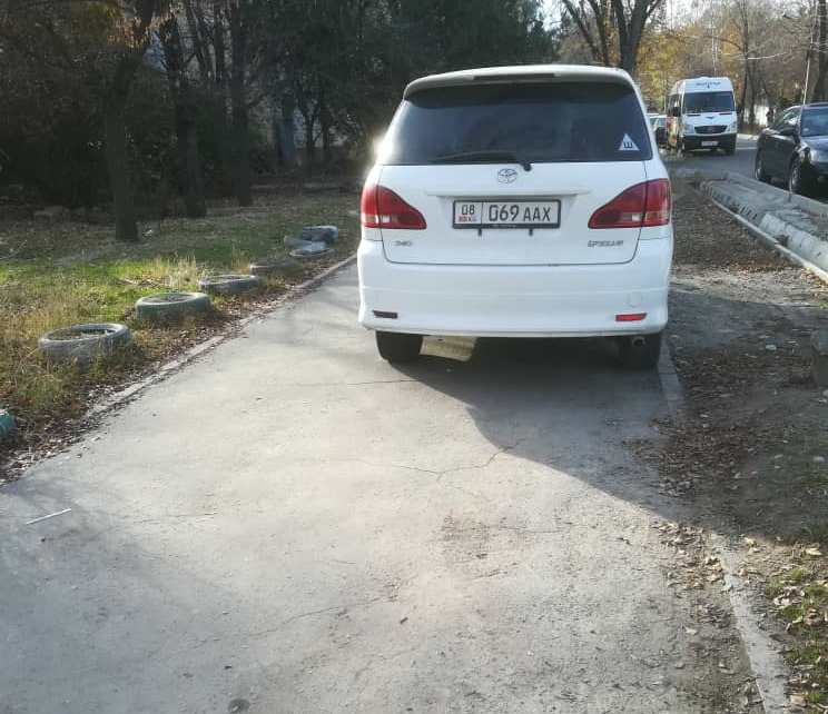 Чудаки парковки