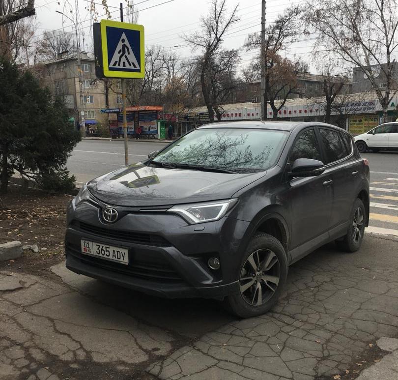Чудаки парковки