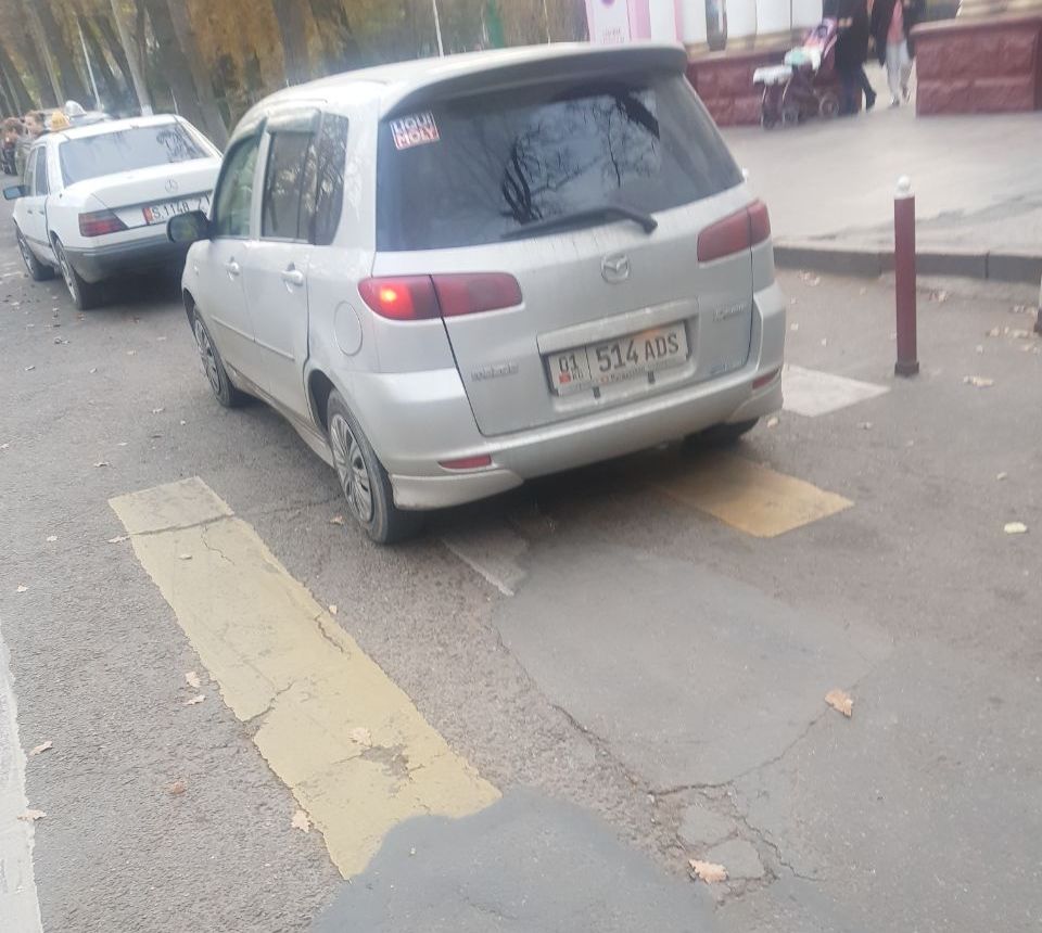 Чудаки парковки
