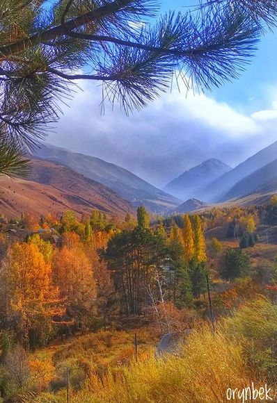 Орынбека Асилбаева. Осенняя Ала-Арча