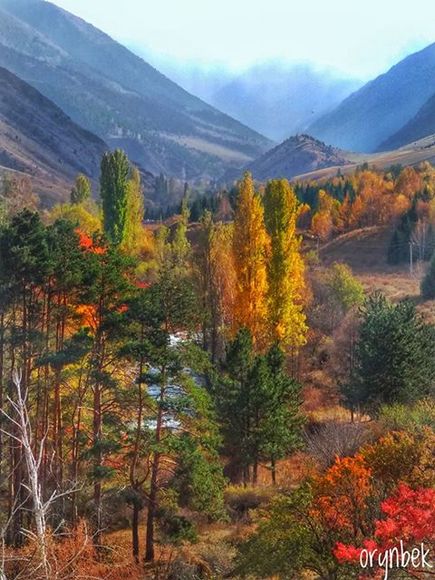 Орынбека Асилбаева. Осенняя Ала-Арча