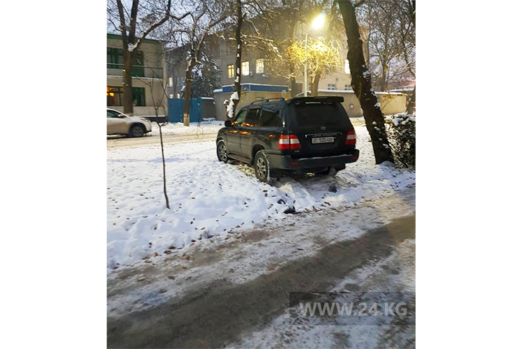 Чудаки парковки