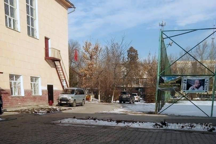 читателя. Чудаки парковки