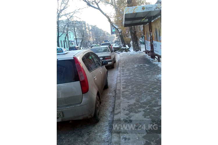 читателя. Чудаки парковки