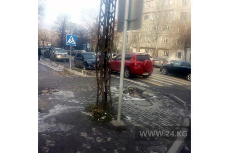 Чудаки парковки
