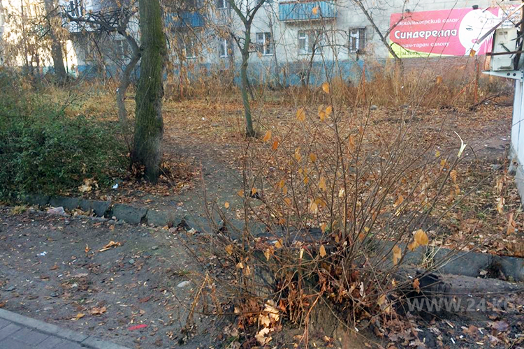 Сюда хотят расширить магазин