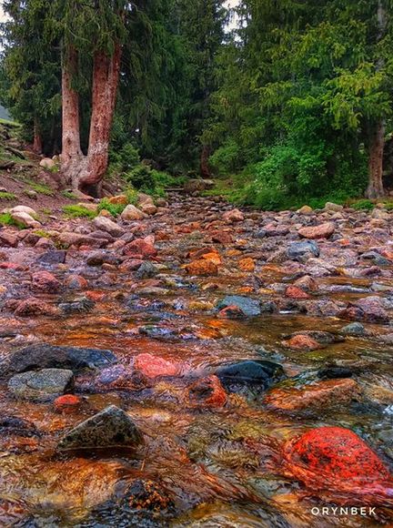 Орынбека Асилбаева. Григорьевское ущелье