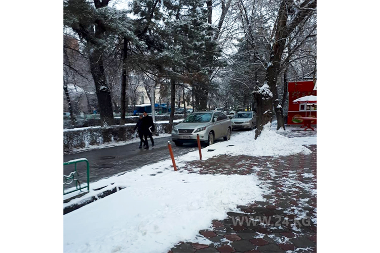 Чудаки парковки